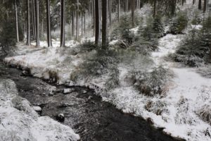 Neujahrsvorsätze - Warum Vorsätze scheitern